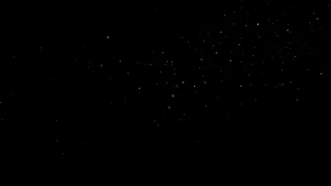 Natural Organic Dust Particles Floating Against A Solid Black Background Stock Footage 297644010