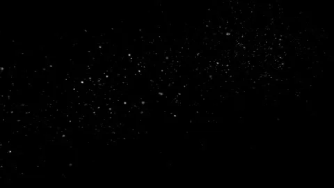Natural Organic Dust Particles Floating Against A Solid Black Background Stockbeeldmateriaal 297644026