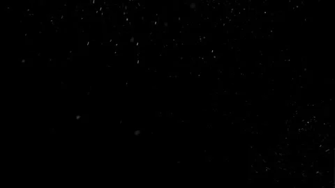 Natural Organic Dust Particles Floating On Black Background With Bokeh. Video stock 297690149