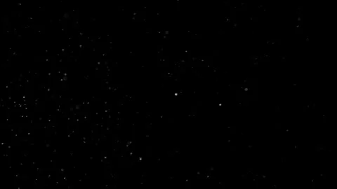 Natural Organic Dust Particles Floating On Black Background Stock Footage 301541815
