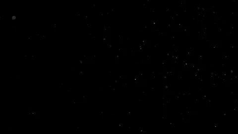 Natural Organic Dust Particles Floating On Black Background Stock Footage 301542089