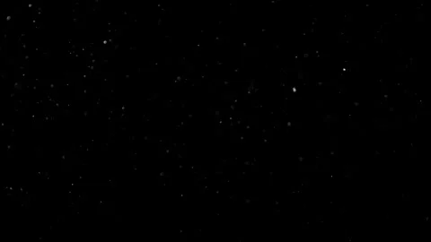 Natural Organic Dust Particles Floating On Black Background Video stock 302319409