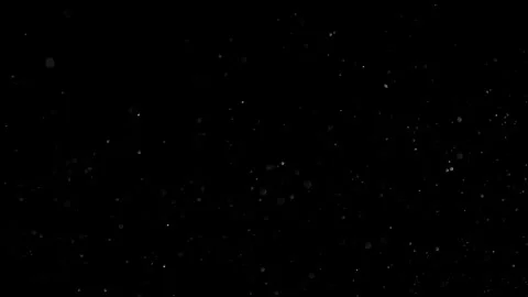 Natural Organic Dust Particles Floating On Black Background Stock Footage 302320183