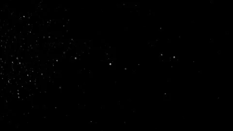 Natural Organic Dust Particles Floating On Black Background Stock Footage 305955949