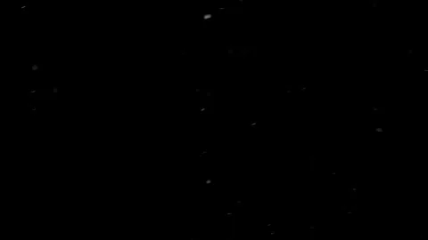 Natural Organic Dust Particles Gently Floating On A Black Background Stock-Footage 297687169