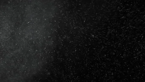 Natural organic particles randomly float in the air Video stock 228618166