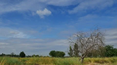 Natural panoramic time lapse landscape, time lapse cloud and dead tree, 스톡 동영상 56699649