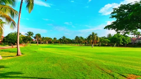Natural panoramic views of the golf course. Dominican green field landscape. Stock Footage 264052532