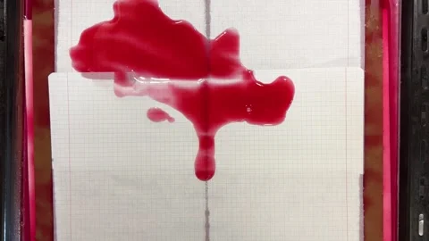 Natural paper dyeing process for junk journals and scrapbooking.  Stock Footage 330677673