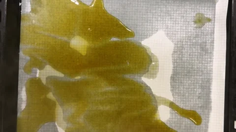 Natural paper dyeing process for junk journals and scrapbooking.  Video stock 330677946