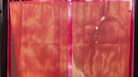 Natural paper dyeing process for junk journals and scrapbooking.  Stock Footage 330679450