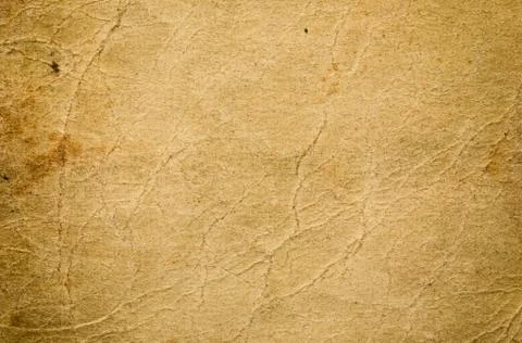 Natural paper texture Stock Photos
