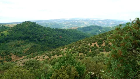 Natural park area Stock Footage 108018674