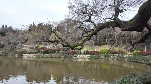 A natural park with a lake Stock Footage 270154005