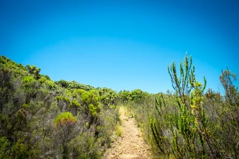 Natural park Stock Photos