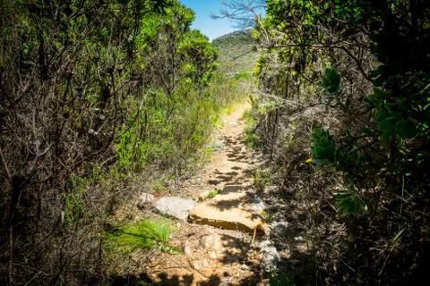Natural park Stock Photos