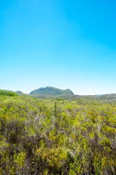 Natural park Stock Photos