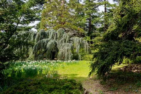 Natural Park Stock Photos