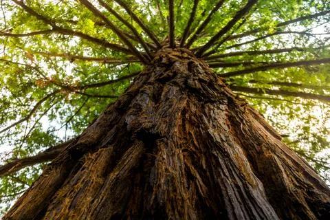 Natural Park Stock Photos