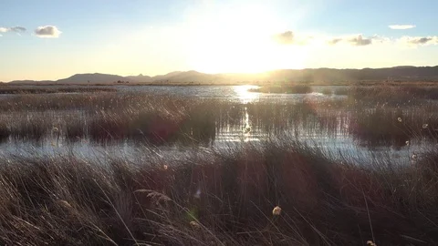 The natural park of prat de cabanes and torreblanca Stock Footage 102270039