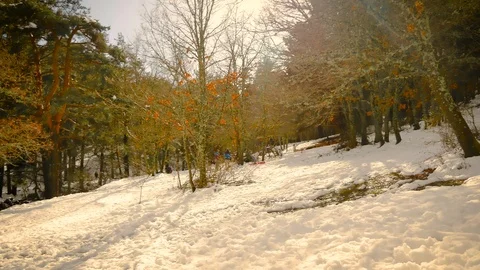 The natural park in the town of Rascafria, which is located in Madrid Stock Footage 123876953