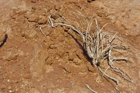 Natural pattern as background Stone texture with natural pattern as backgr... Foto stock