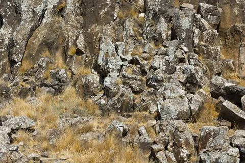 Natural pattern as background Stone texture with natural pattern as backgr... Stock Photos