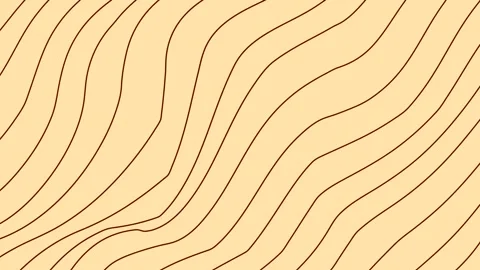 Natural pattern brown wood background motion graphics	 Stock Footage 273982799