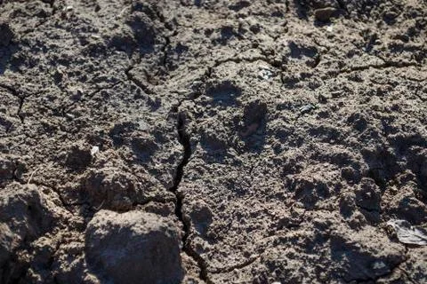 The natural pattern of a cracked (curled) surface of the earth due to prolong Stock Photos