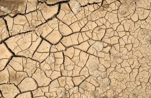 Natural pattern cracked mud. Stock Photos