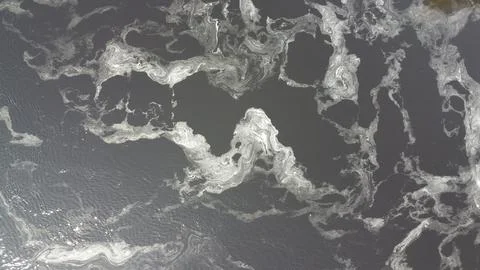 Natural pattern created by tree pollen. Foto stock