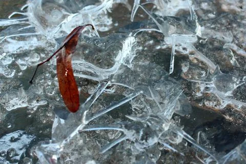 Natural pattern Stock Photos