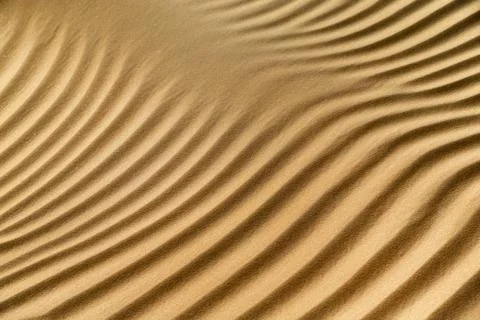 Natural pattern of the sand dune in the desert in Abu Dhabi. Closeup abstr... Stock Photos