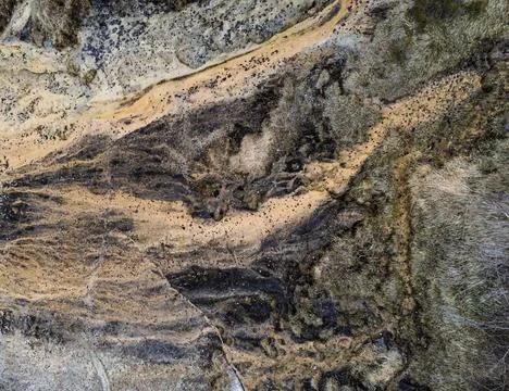 Natural pattern from a small river Stock Photos