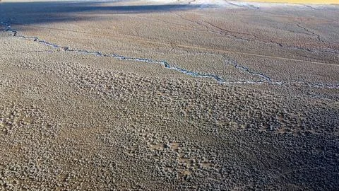 🚁 Natural Pattern: Top-Down Winter Shrubland in Utah Stock Photos