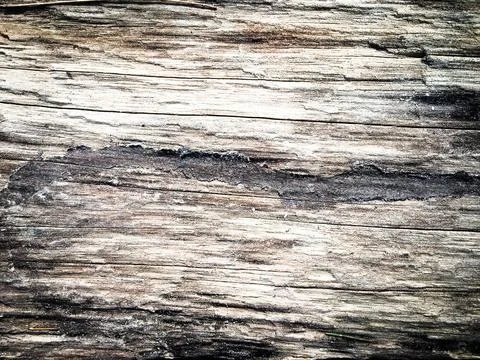 Natural pattern wood background for design Foto stock