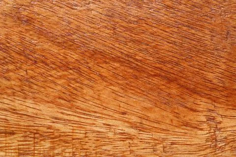 Natural pattern wood texture background copy space for your design or put on  Foto stock
