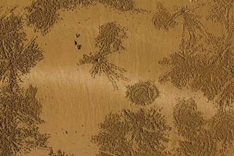 Natural pattern on yellow sand made by small crabs Stock Photos