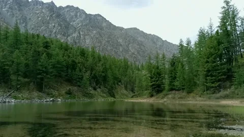 Natural patterns on the bottom are visible through the clear water Stock Footage 307975854