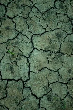Natural patterns, soil cracks when it has a large amount of clay Stock Photos