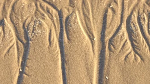Natural patterns in surface of flat golden sand Stock Footage 326952267