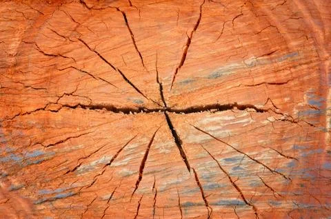Natural patterns. In the visual arts, texture is the perceived surface qualit Stock Photos