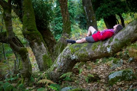 Natural peace Stock Photos