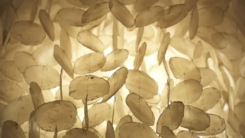 Natural pearl shell candelabras blown by the wind. Concept of tranquility Stock Footage 103483434