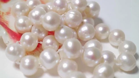 Natural pearls close-up in the shell of a clam. Smooth motion and rotation Stock Footage 81600546