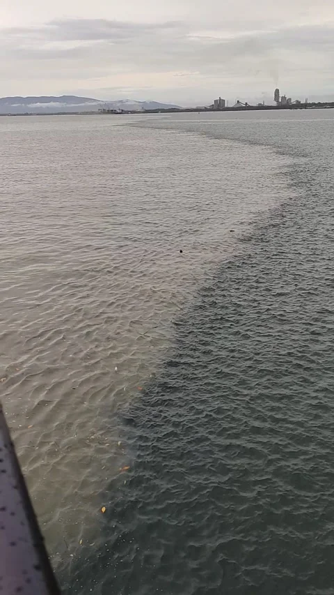 NATURAL PHENOMENA Video stock 183386374