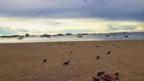 Natural Stock Photos