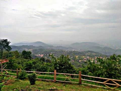 Natural Stock Photos