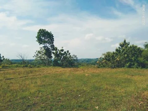 Natural Stock Photos