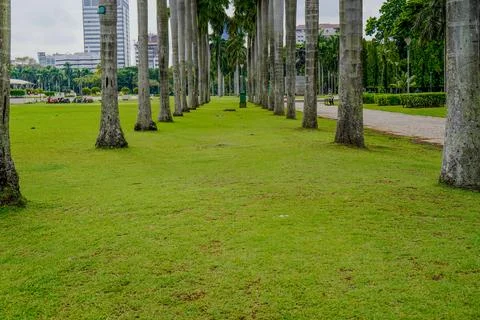 Natural Stock Photos